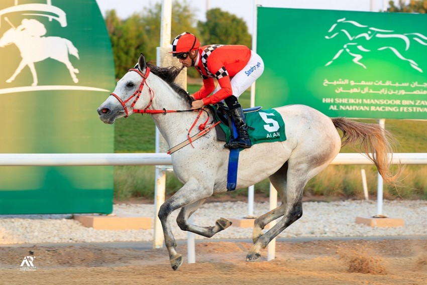 Cavalo de Tróia Süžeeskeem Poolt viniciusjun