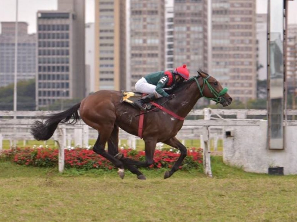 Foto: Mary Jane resiste a Miracle Mile na Prova Especial Giant