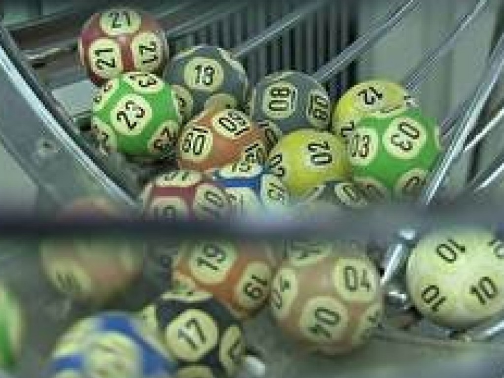 Foto: Leilão da Criação Nacional: sorteio da ordem de entrada ocorrerá pela Loteria Federal