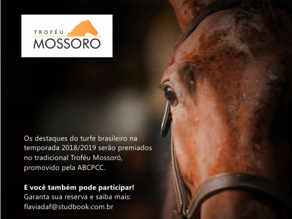 Foto: Troféu Mossoró 2019: Candidatos ao prêmio de Melhor Cavalo de 4 anos e mais