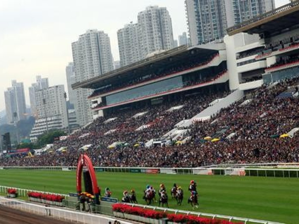 Foto: Website britânico destaca ascensão do cavalo sul americano, em Hong Kong, por meio de Halston