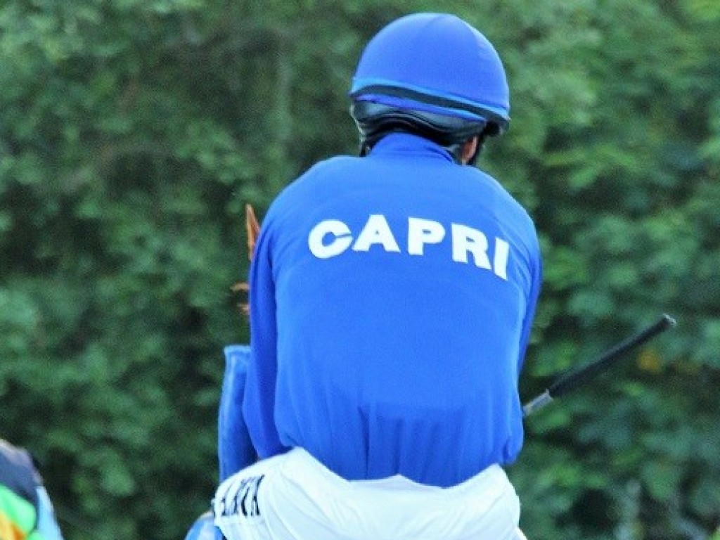 Foto: Os cavalos em homenagem à Principessa di Capri