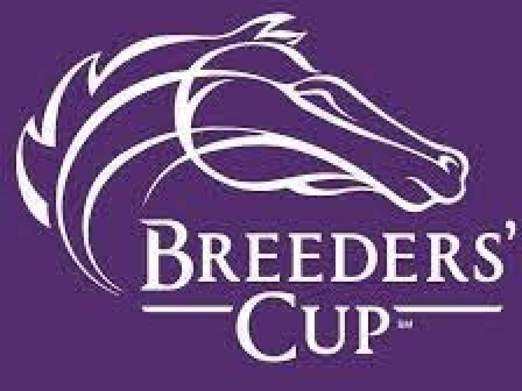 Foto: A Breeders' Cup, o Brasil e o programa "Win And You're In": advertência de risco de exclusão