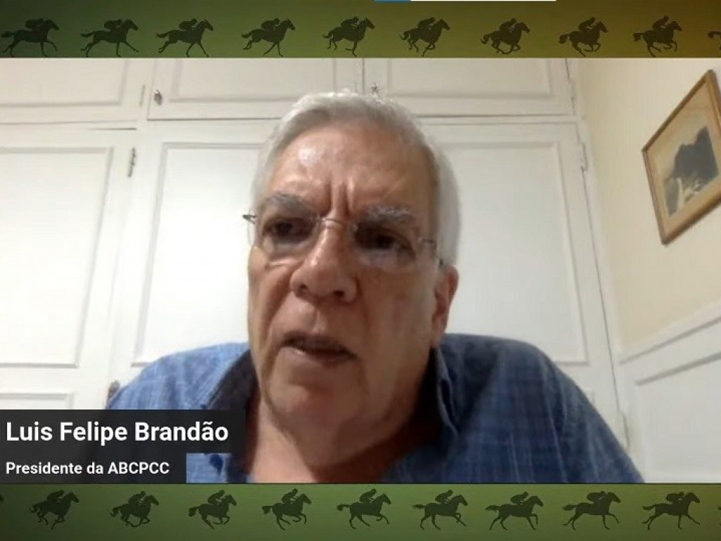 Foto: Live do Ninho do Albatroz entrevista Luis Felipe Brandão dos Santos