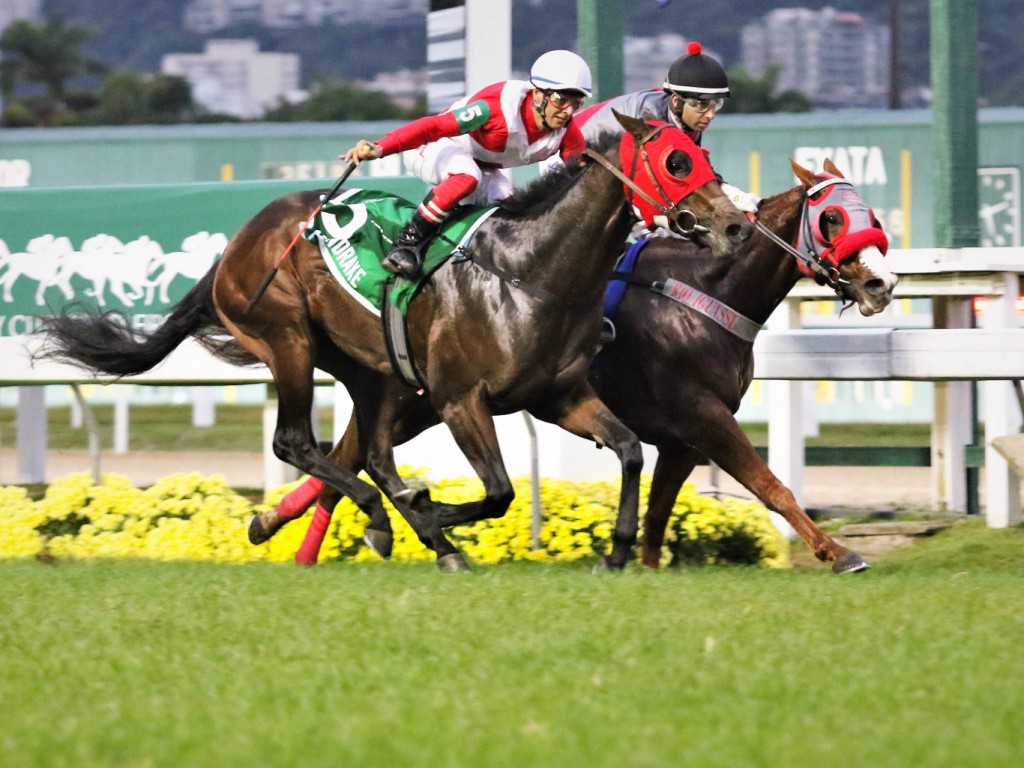 Foto: Em final polêmico, Mandrake vence o GP Major Suckow (G1) - Haras Niju