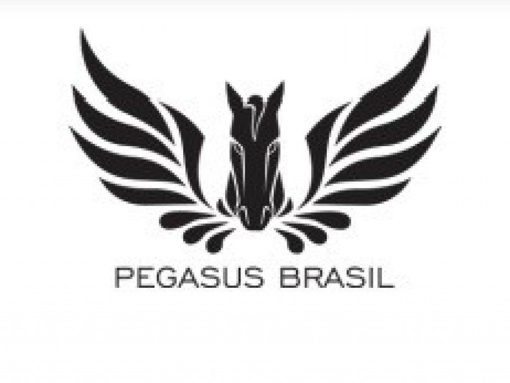 Foto: Pegasus Brasil 2023 tem inscrições apuradas; confira