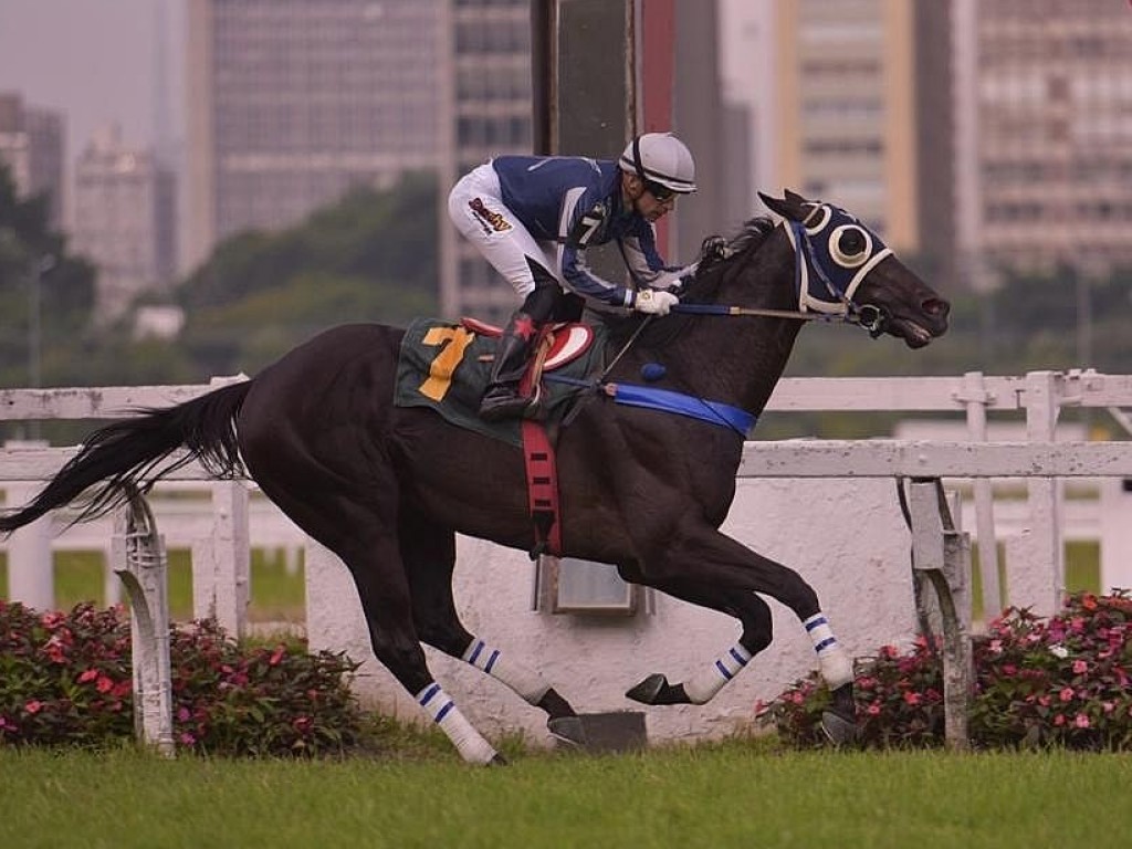 Adrenalina a galope: Charles do Bronx participa de corrida de