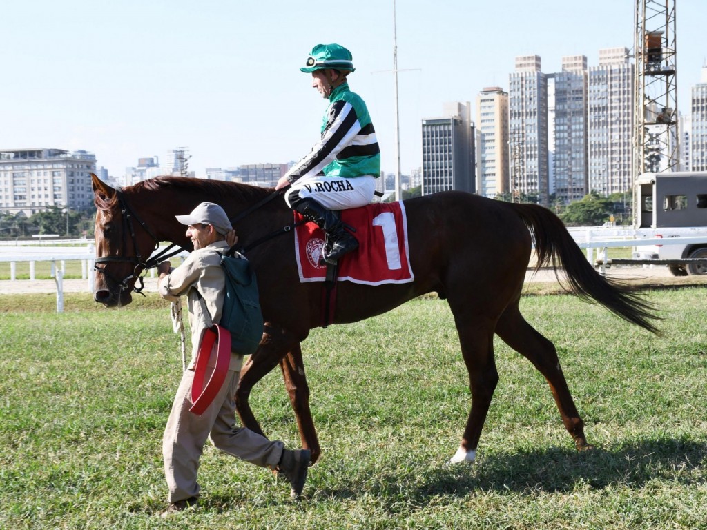 Foto: Líder em São Paulo, Oryx irá à Gávea para competir no GP Jockey Club Brasileiro (G1)