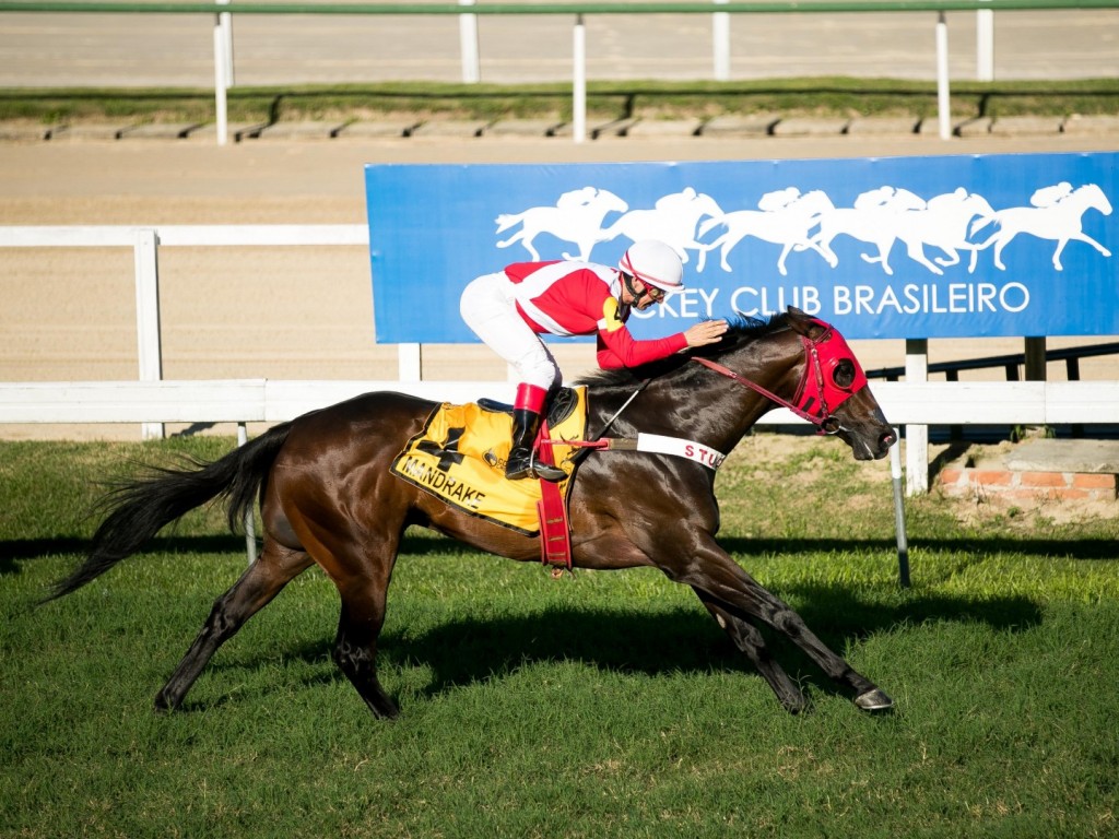 Foto: Firme e fácil, Mandrake confirma favoritismo na Copa ABCPCC Velocidade - Mário Belmonte Moglia (G3)