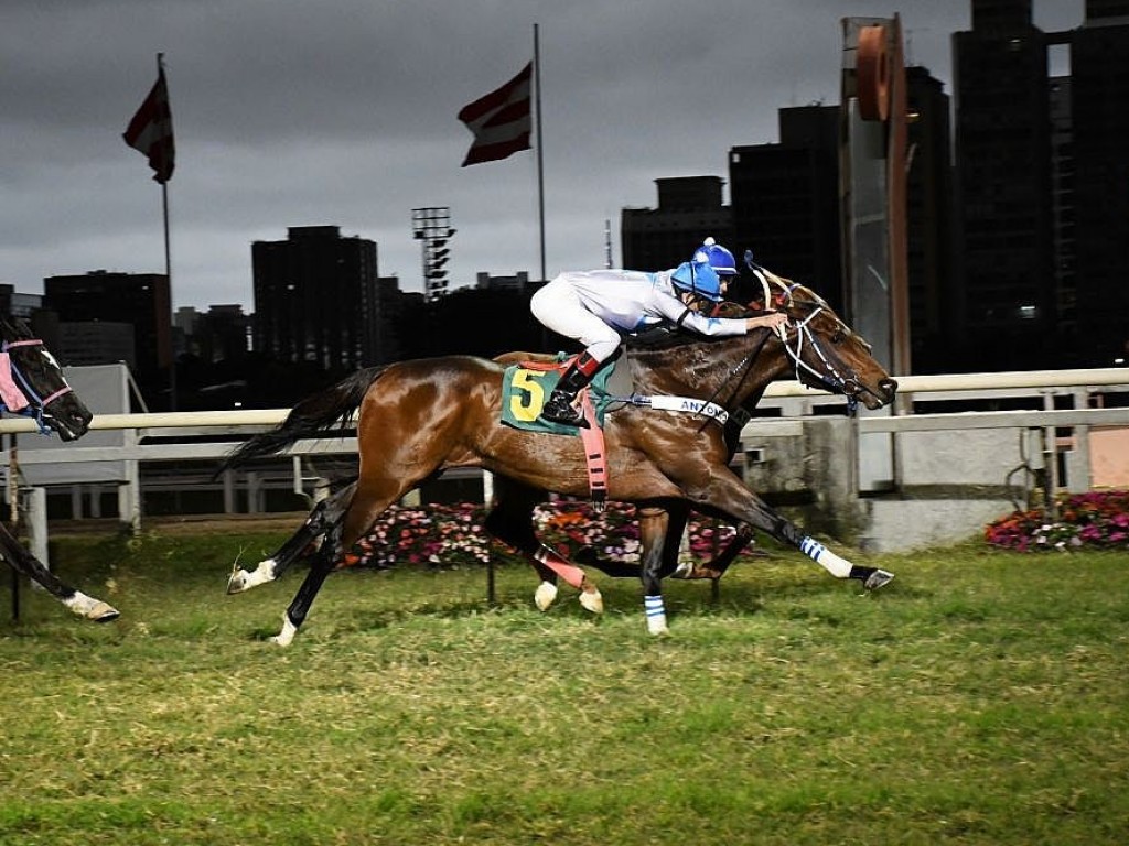 Foto: Em final de emoção, Zilhão Dolar vence, mais uma vez, a Prova Especial Duque de Caxias.