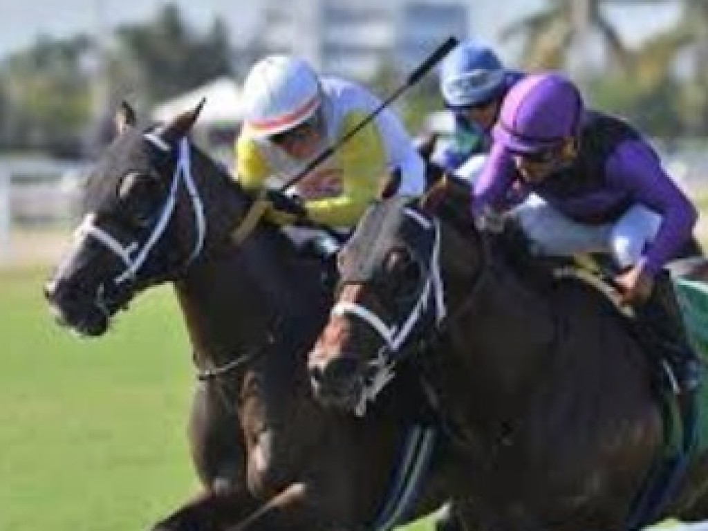 Foto: Lorenz vence handicap de US$ 75 mil, em Gulfstream Park