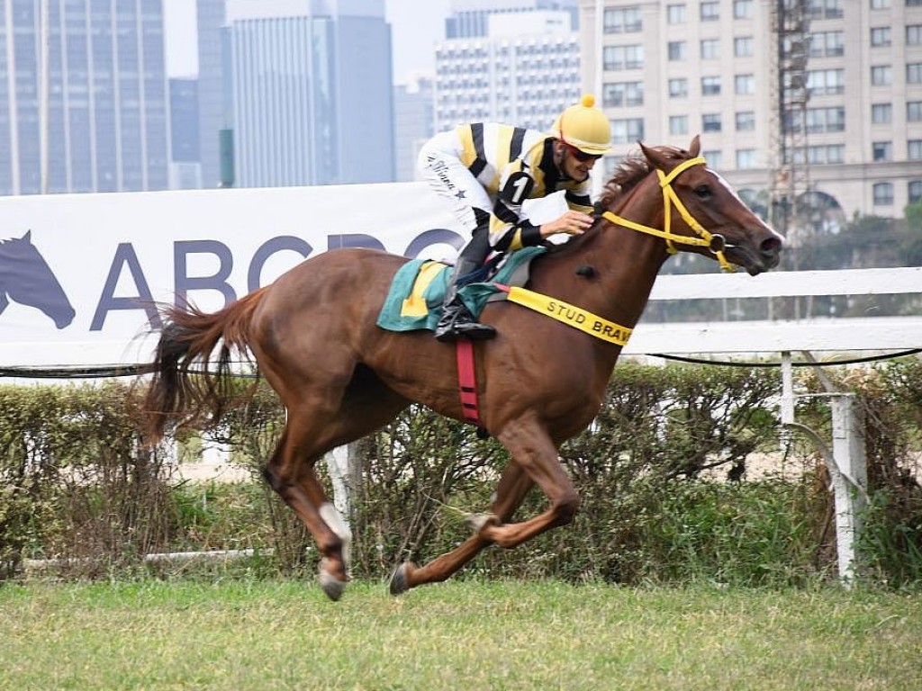 Foto: PE Colina Verde: Night of Rose cruza na frente e agora vai ao "Henrique de Toledo Lara"!