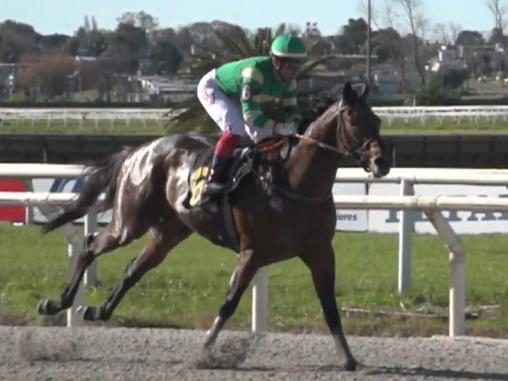 Foto: Maroñas: Nam Phirik vence clássico e demonstra forma para o "Jockey Club"