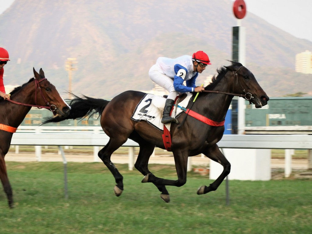 Foto: Bloody Mary confirma favoritismo no GP Armando Rodrigues Carneiro (G3)