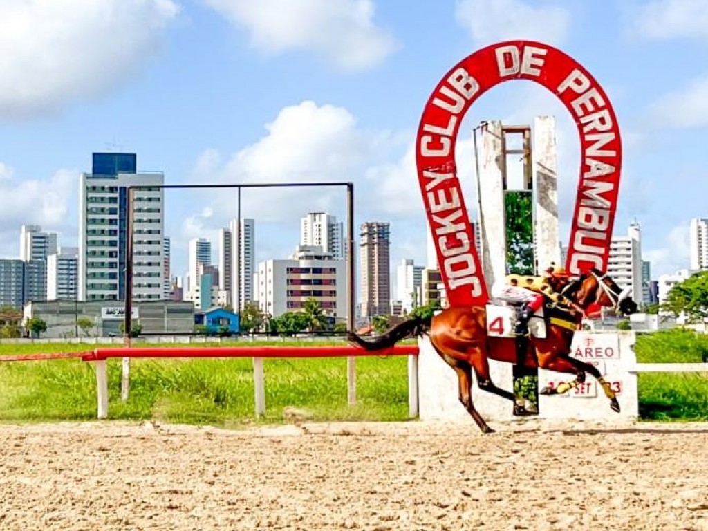 Foto: Neste sábado, o GP Manoel Medeiros movimentará o Hipódromo da Madalena