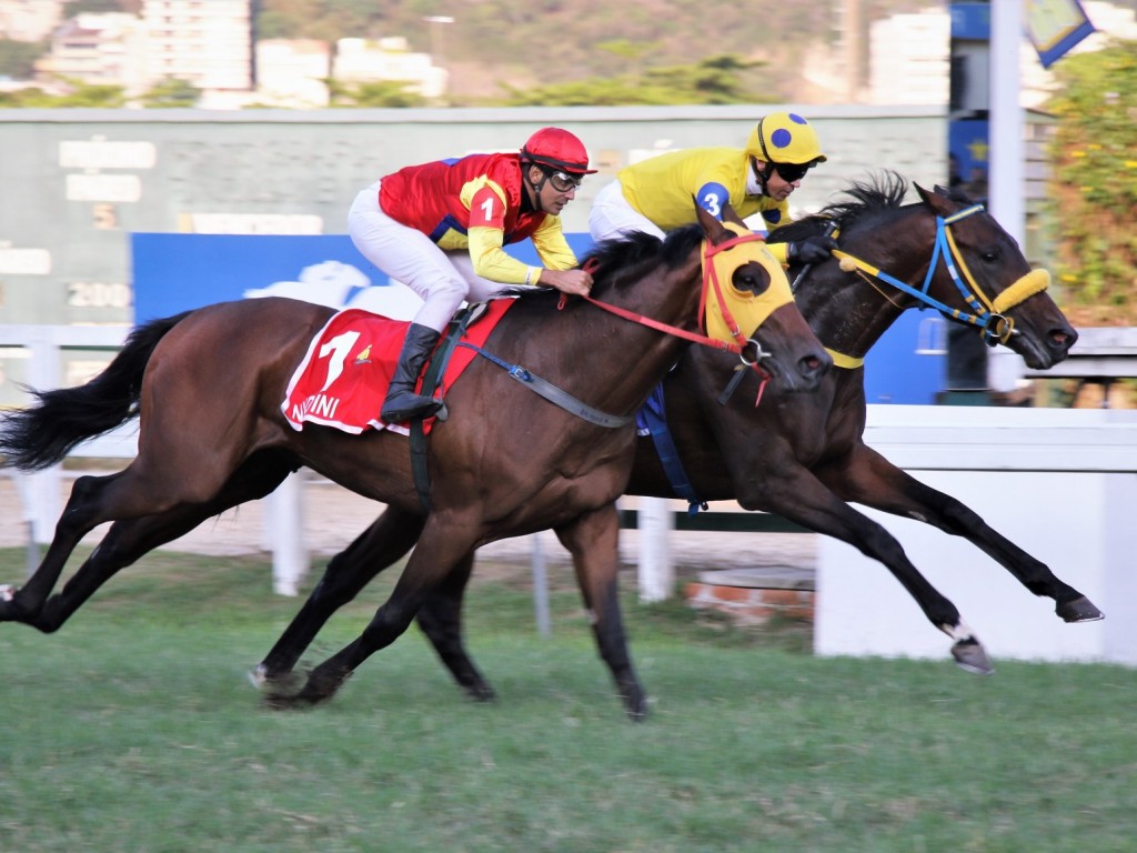 Foto: Em final de rigor, Sparco sagra-se o vencedor do GP Linneo de Paula Machado (G1)