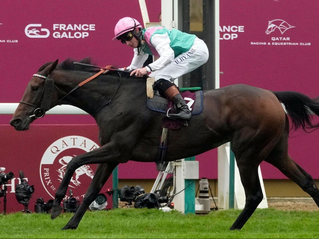 Foto: Bluestocking derrota os machos no Prix l'Arc de Triomphe (G1) e rende recorde de vitórias à Juddmonte