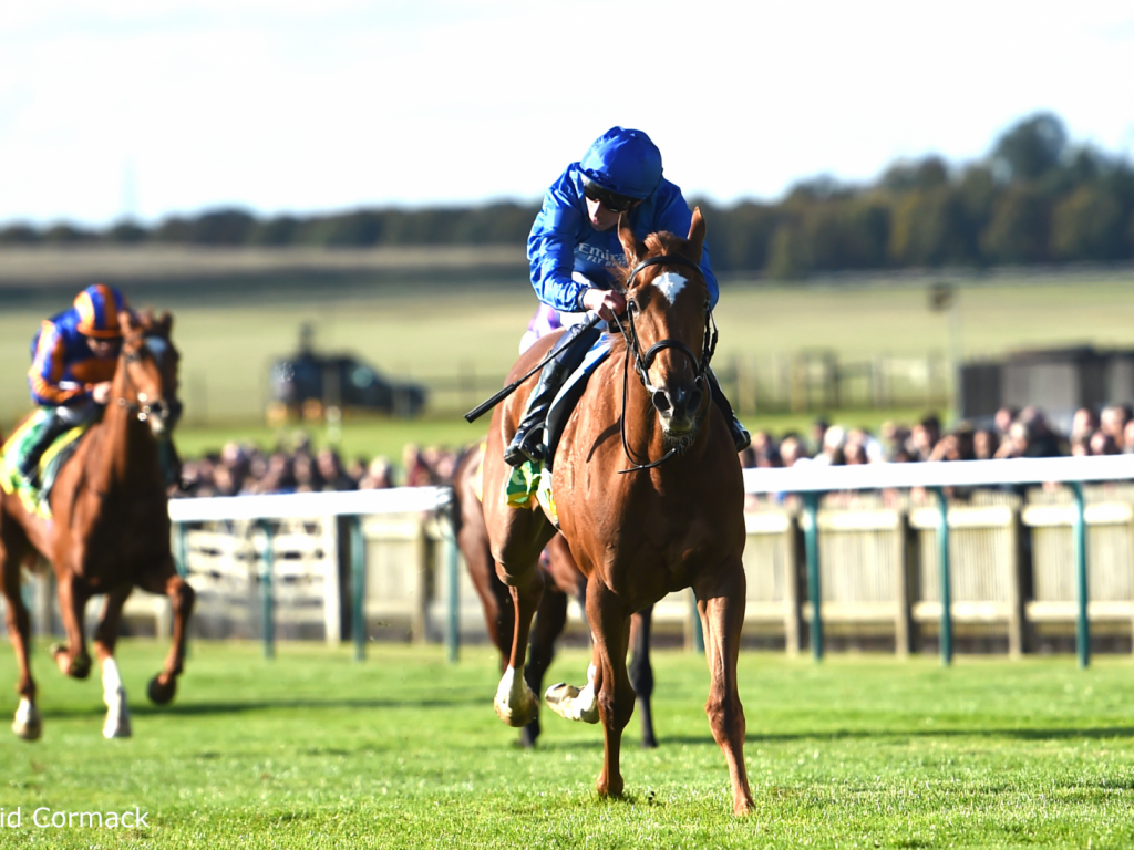 Foto: A melhor potranca da Europa tem genética brasileira: Desert Flower vence G1, em Newmarket