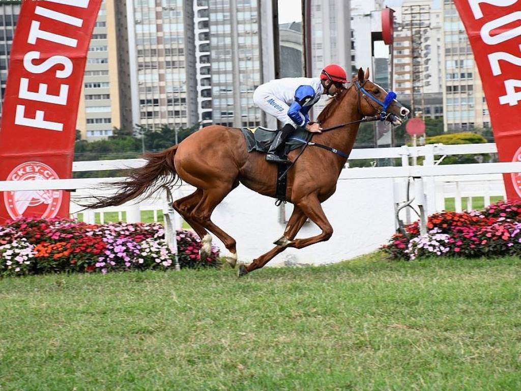 Foto: Aguerrido, Cold Heart exibe sobras, na milha e meia