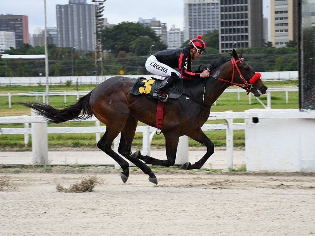 Foto: Clássico Ricardo Lara Vidigal (L): Olympic Owner vence com sobras e vai ao "Paraná 2024"