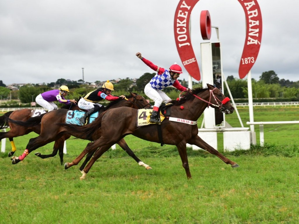 Foto: Bubbly Rain: atropelada certeira, na Pegasus Brasil Classic