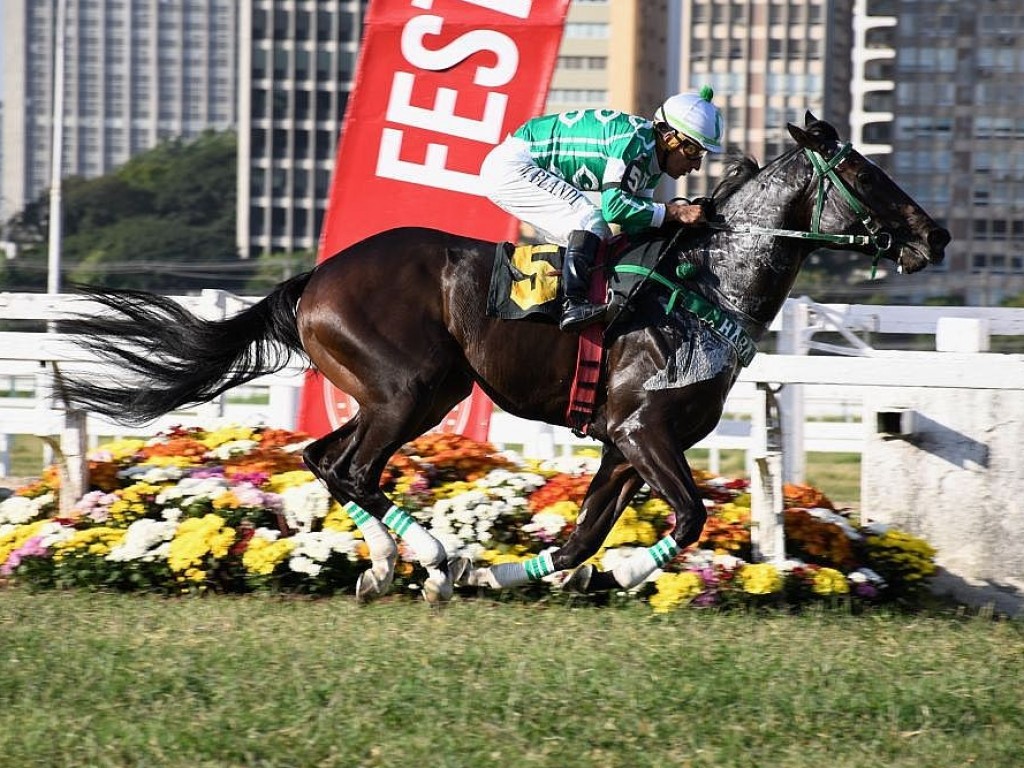 Foto: Lendário Brujo esnoba prejuízo e arranha recorde na Pegasus Brasil Sprint