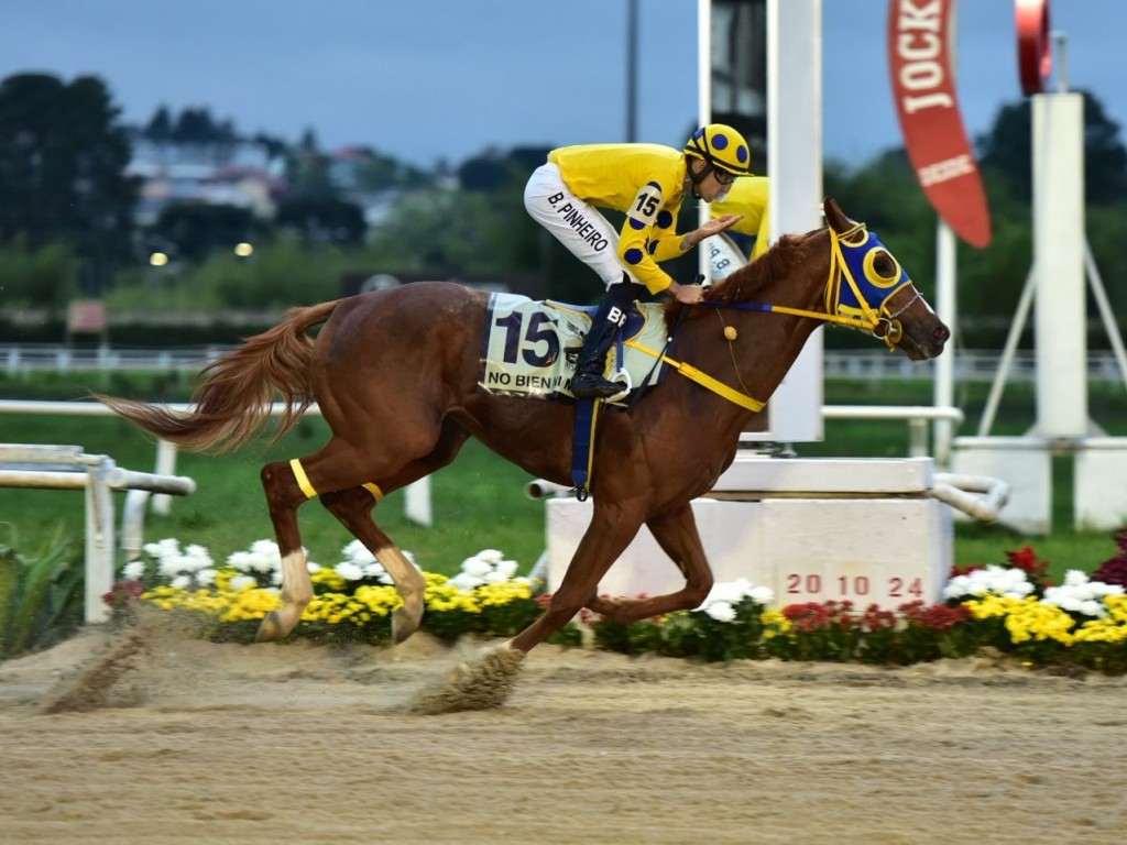 Foto: No Bien Ni Mal protagoniza exibição de gala na Pegasus Brasil