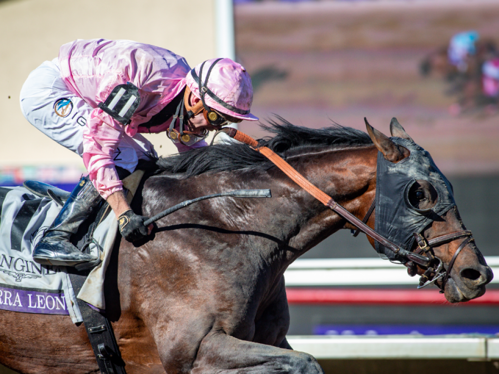 Foto: A recompensa, na hora certa: Sierra Leone conquista a Breeders' Cup Classic (G1)