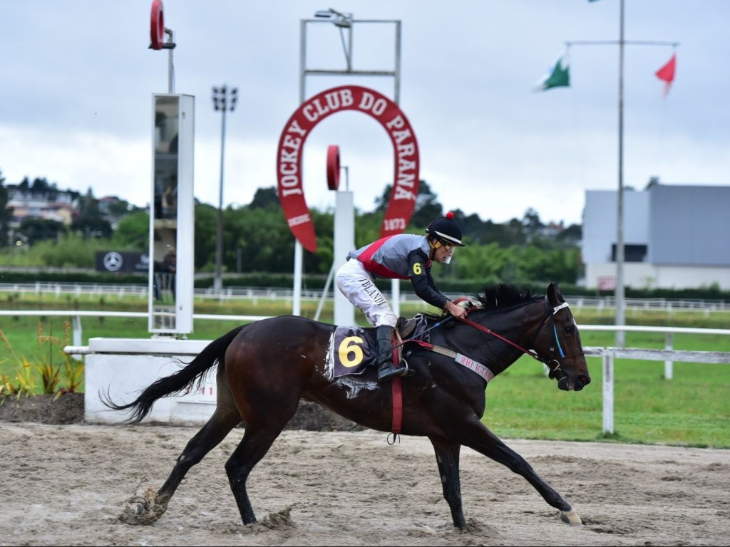 Foto: PR: Remy Martin, Shallow Now e Go To Be Happy vencem as preparatórias da semana máxima