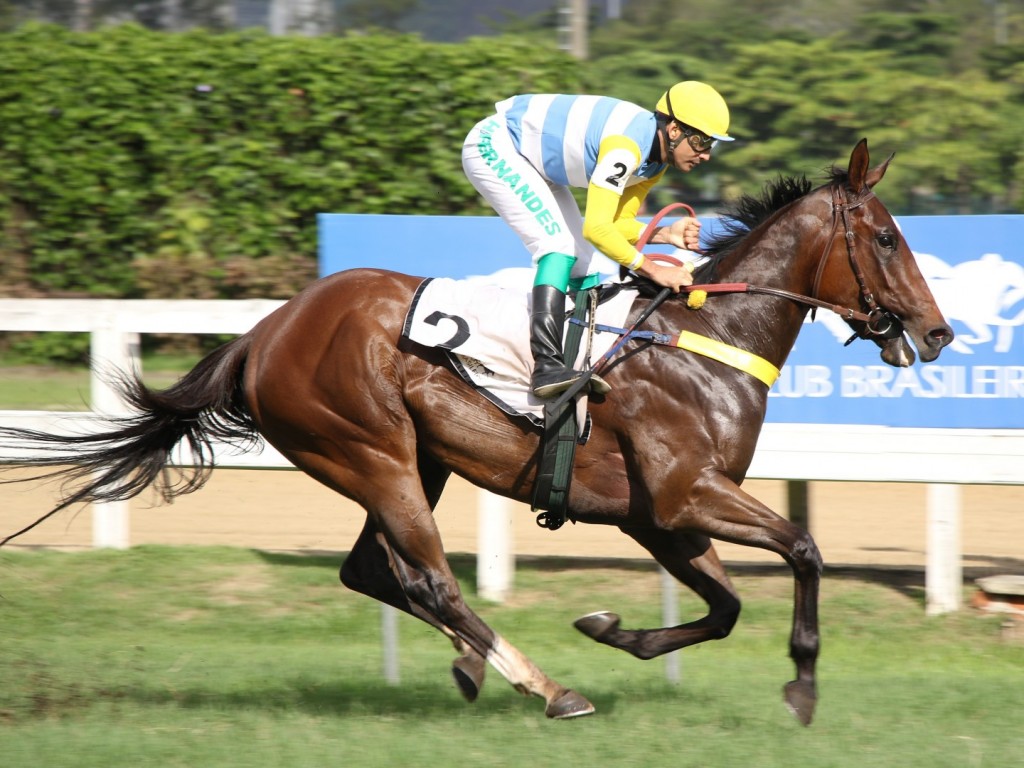 Foto: Cada vez melhor, Sorte Pura vence o GP Octávio Dupont (G3)