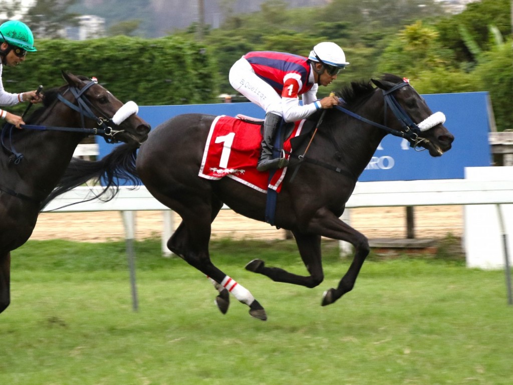 Foto: Natassja Kinski comanda trifeta do Araras no GP Mariano Procópio (G3)