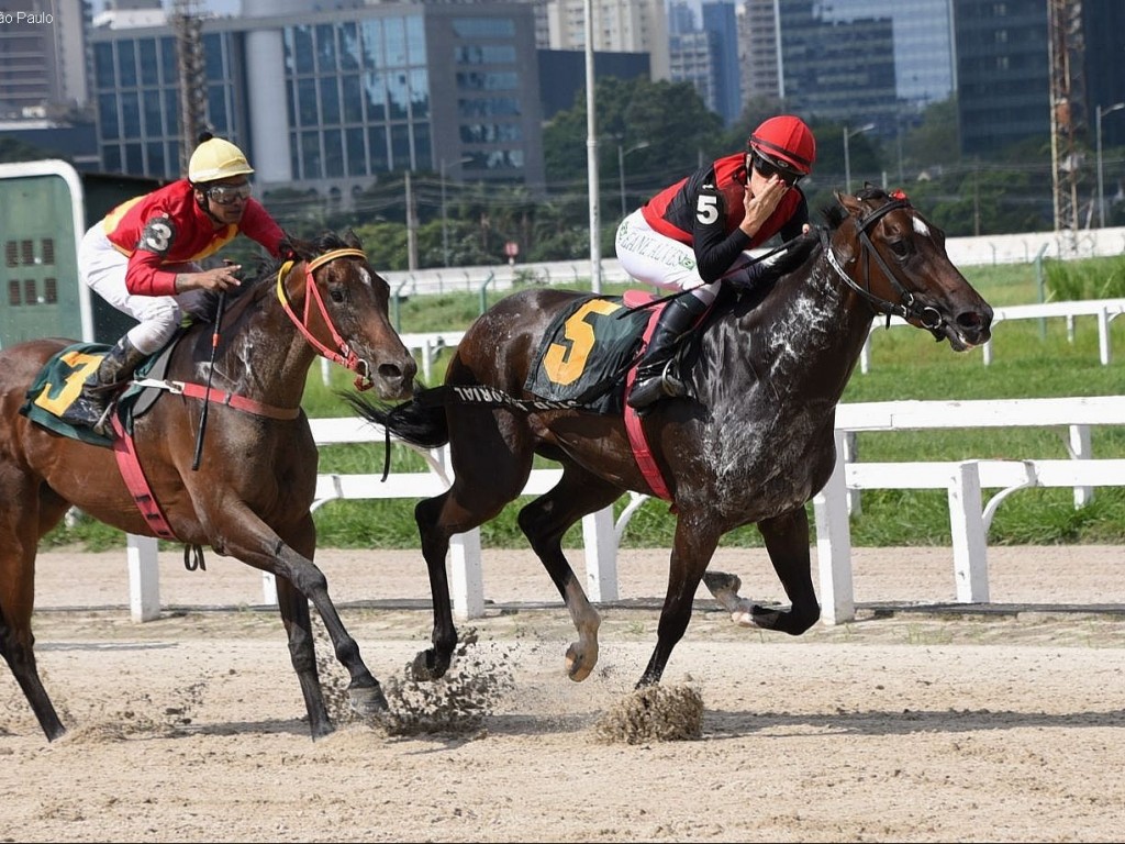 Foto: Samcat resiste a Once Upon A Time no Clássico Encerramento (L)