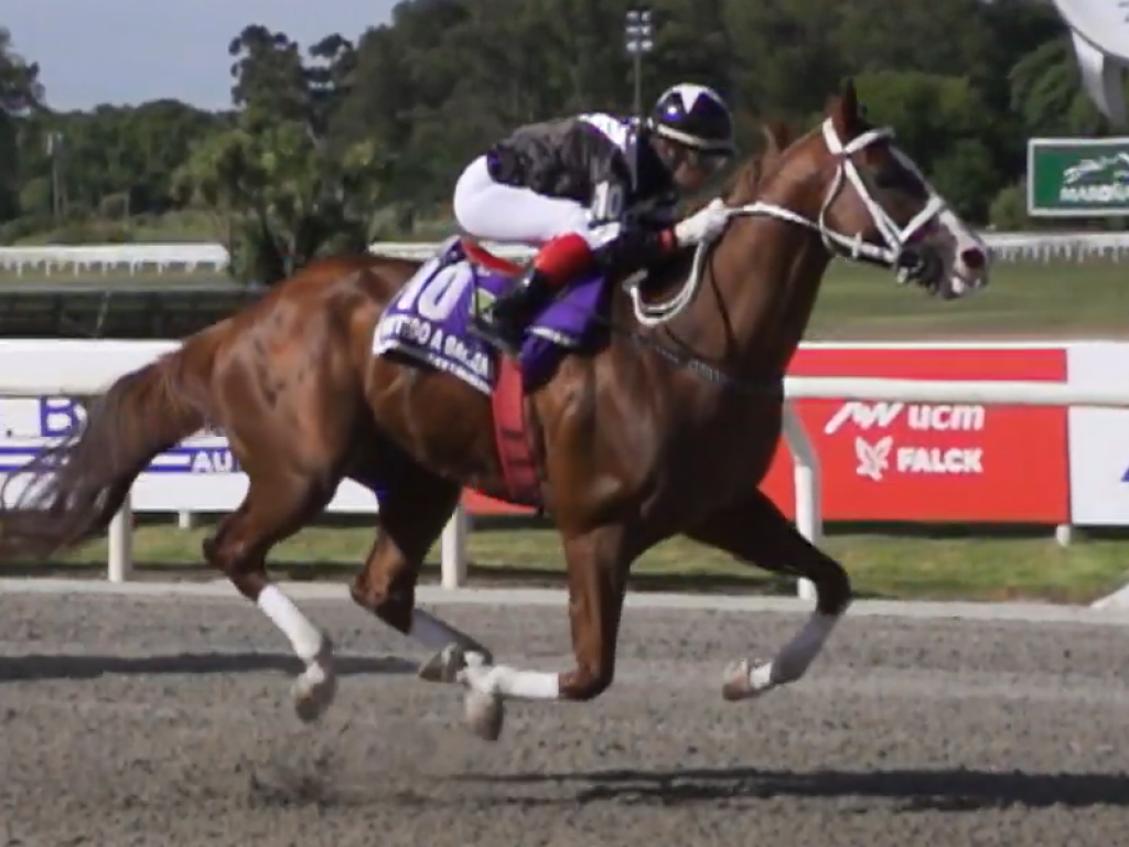 Foto: Gran Premio Maroñas (G3): Metido A Bacana confirma status de melhor velocista do Uruguai