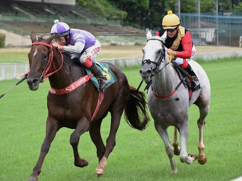 Foto: Reyes foi o melhor no Grande Prêmio Linneo de Paula Machado (G3)