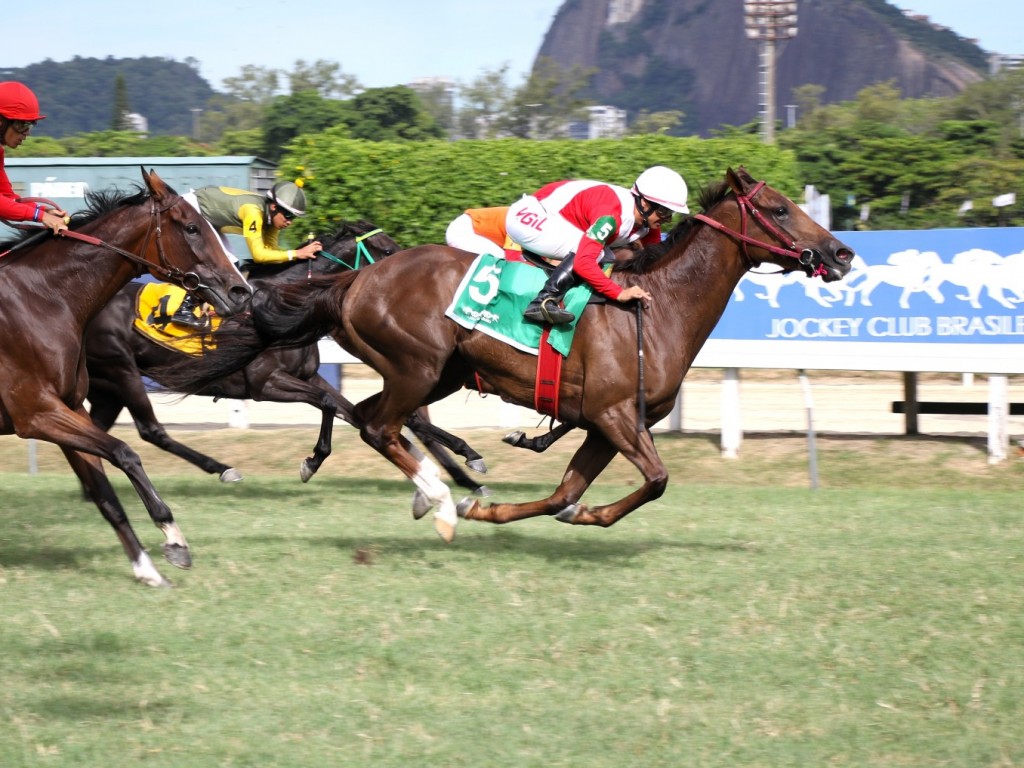 Foto: Olympic Maureen conquista batismo clássico em listed race