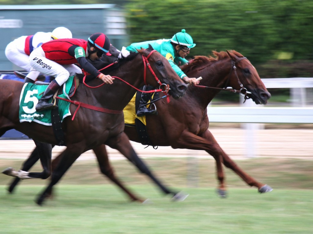 Foto: Pelo segundo ano consecutivo, Online fatura o GP Escorial (G3)