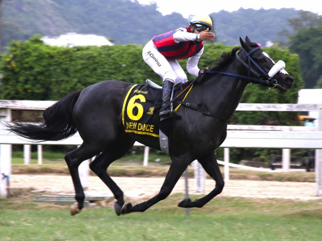 Foto: New Dance adiciona mais um "Possolo" na prateleira do Haras Santa Maria de Araras