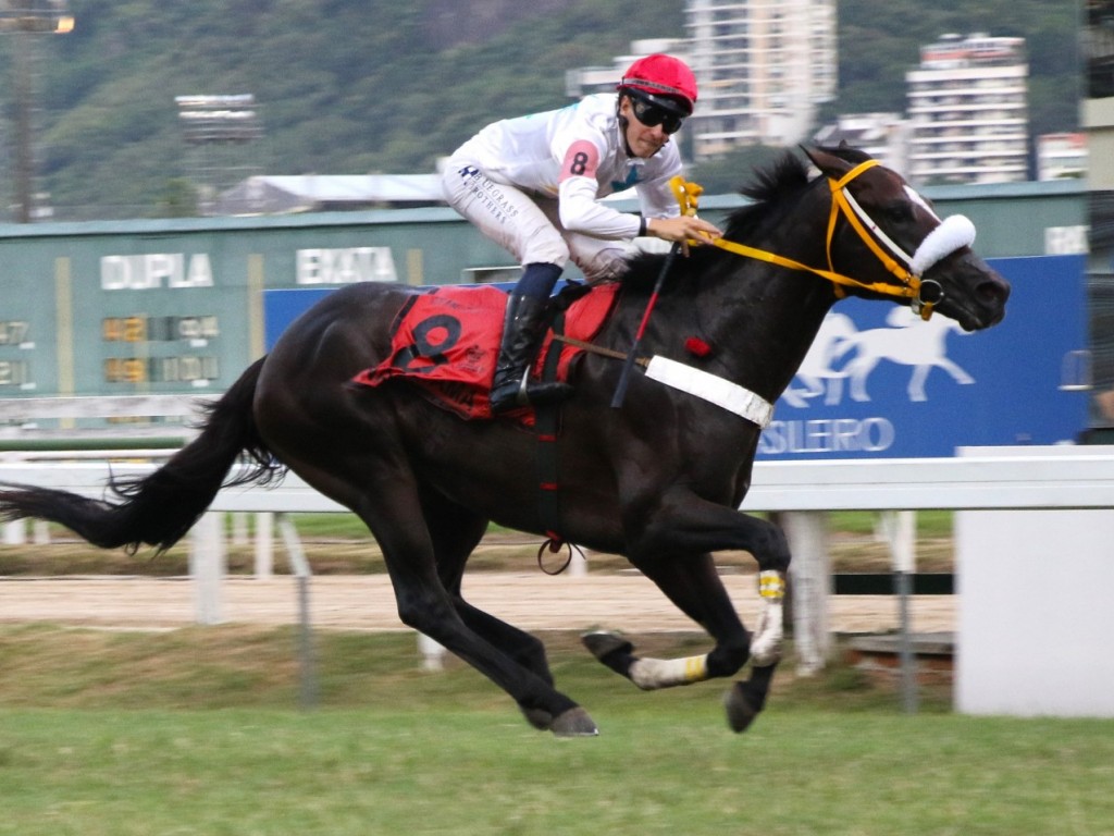 Foto: Nagayama brilha no GP Estado do Rio de Janeiro (G1) - Araras Blood & Power