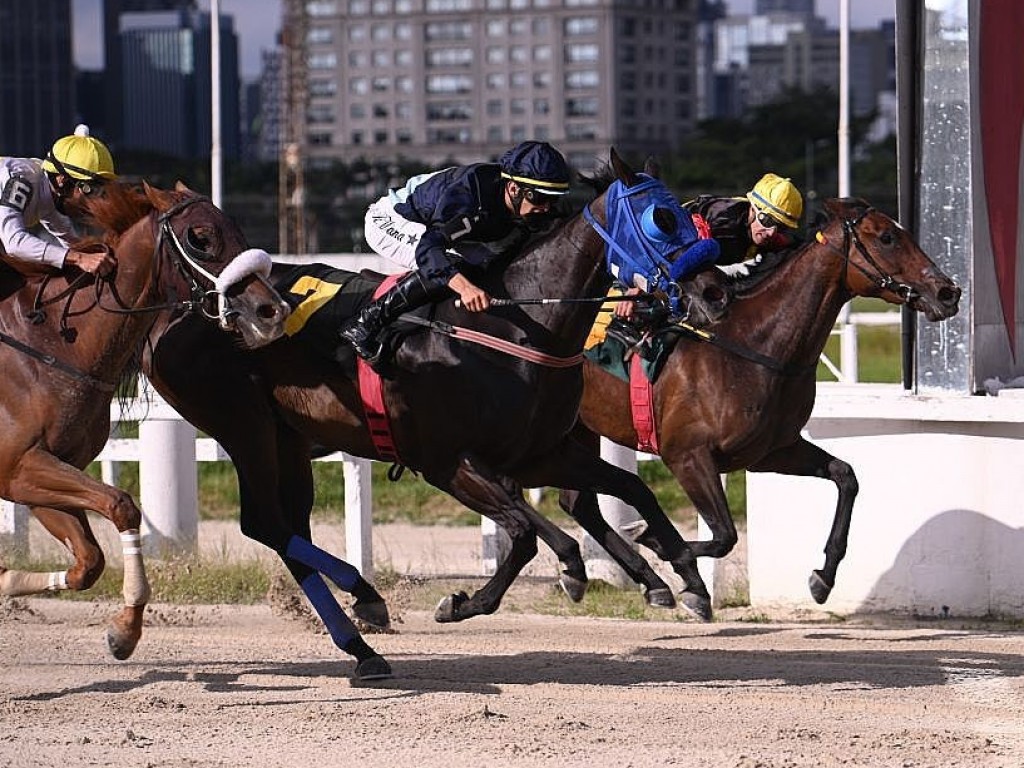 Foto: Palm Beach conquista o Handicap Especial Raymond Naufal