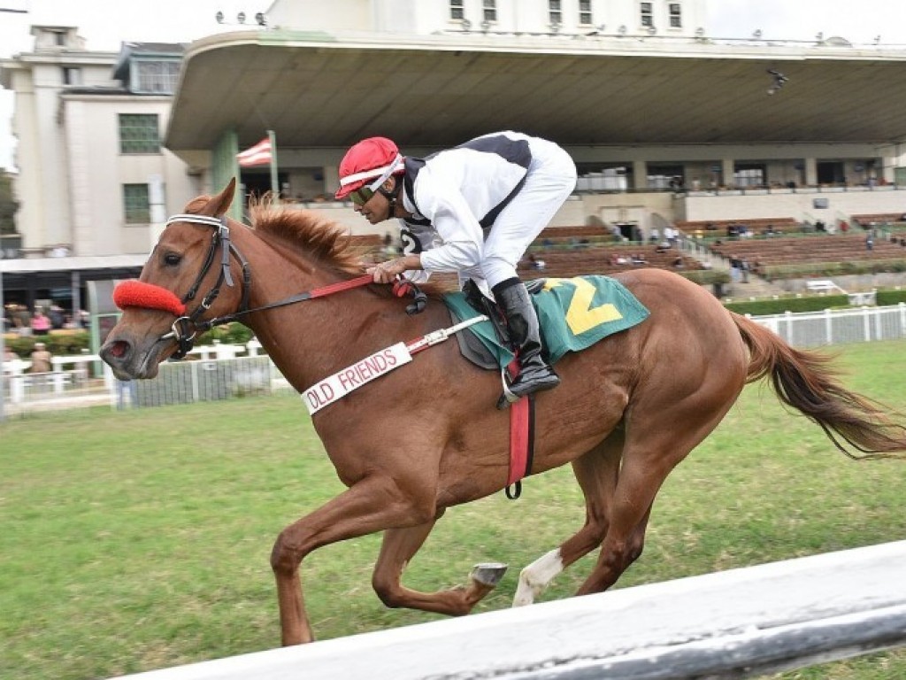 Foto: Flying Star brilha no Grande Prêmio Presidente Luiz Oliveira de Barros (G2)