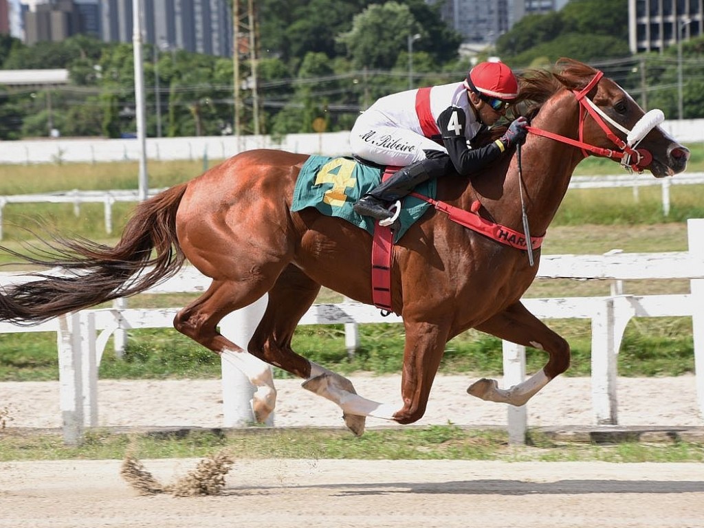 Foto: Grand Port fatura o Handicap Especial Renato Junqueira Netto