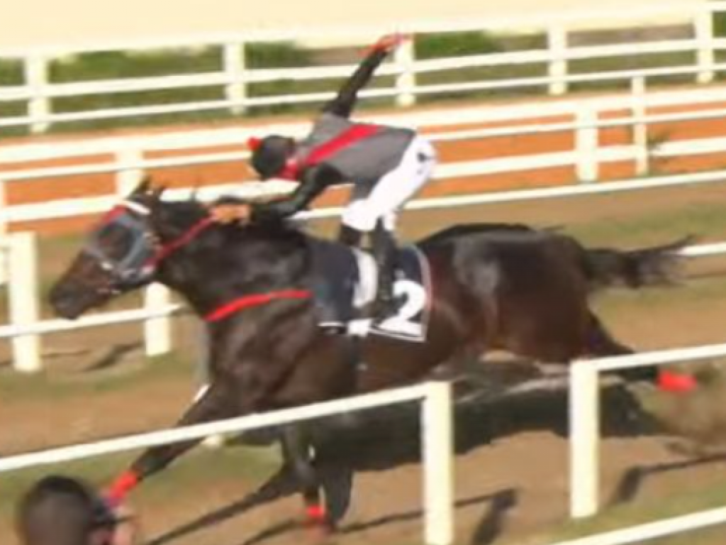 Foto: Cancha reta: Ored, um Chronnos, levantou o GP Jamil Georges