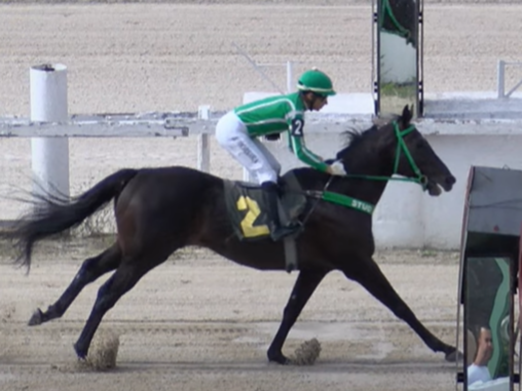 Foto: Loyalty conquista o Handicap Especial Duplex