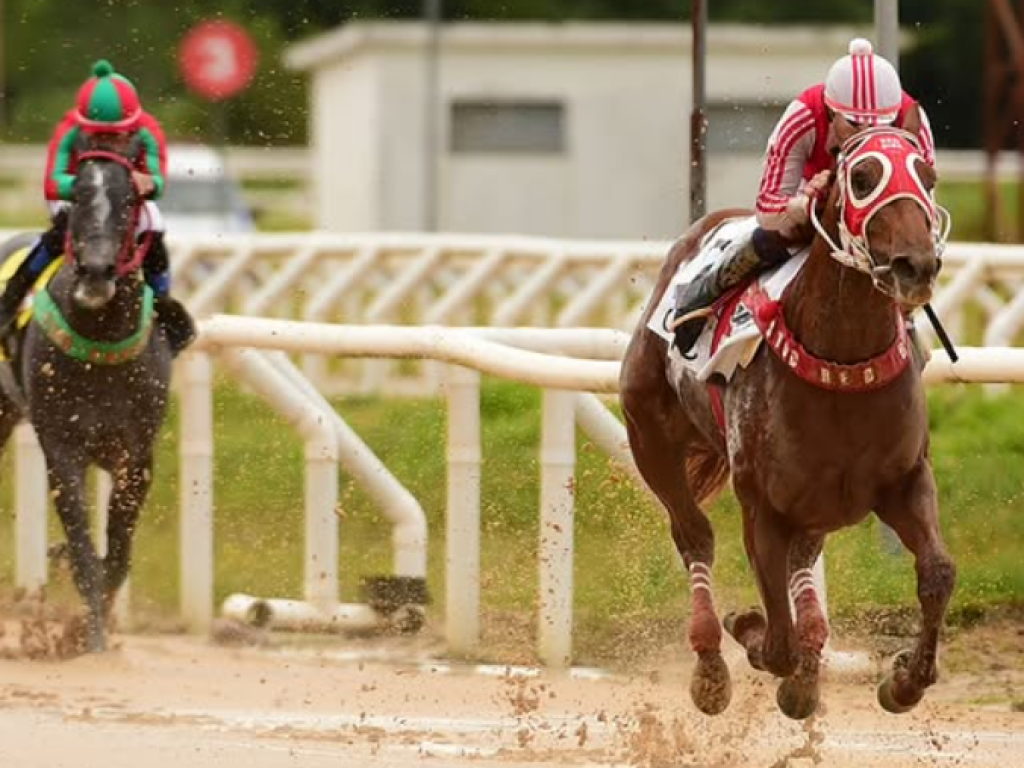 Foto: Óbvio ratifica liderança na Taça de Cristal (L)