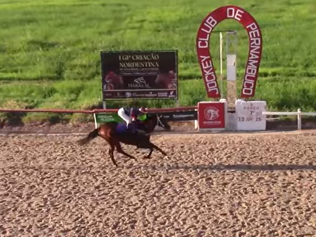 Foto: Na Madalena, Norgara vence o GP Criação Nordestina de Velocidade e Precocidade HSL