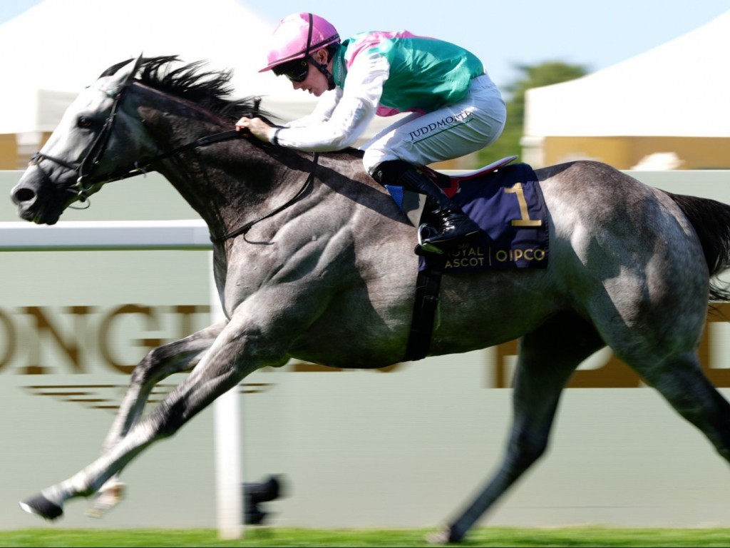 Foto: Na abertura do Royal Ascot, um show de Field of Gold
