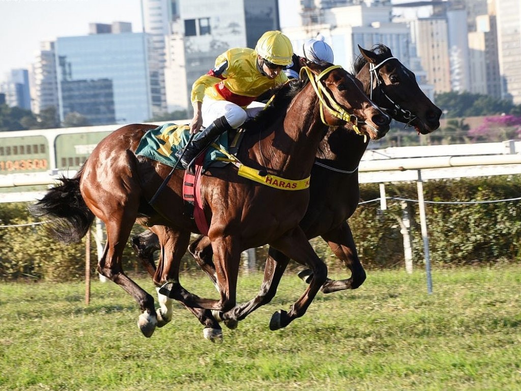 Foto: La Cristina supera Tempest Shadow, em São Paulo
