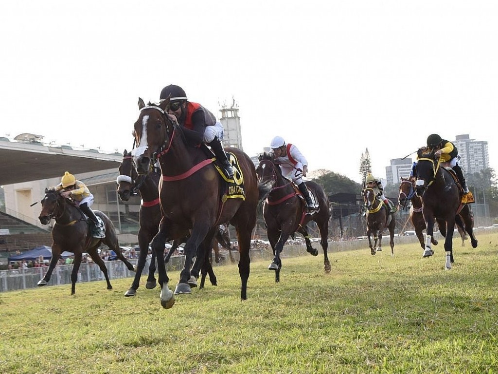 Foto: Um campeão inesgotável: Obataye brilha no GP Matias Machline - ABCPCC Clássica (G1)