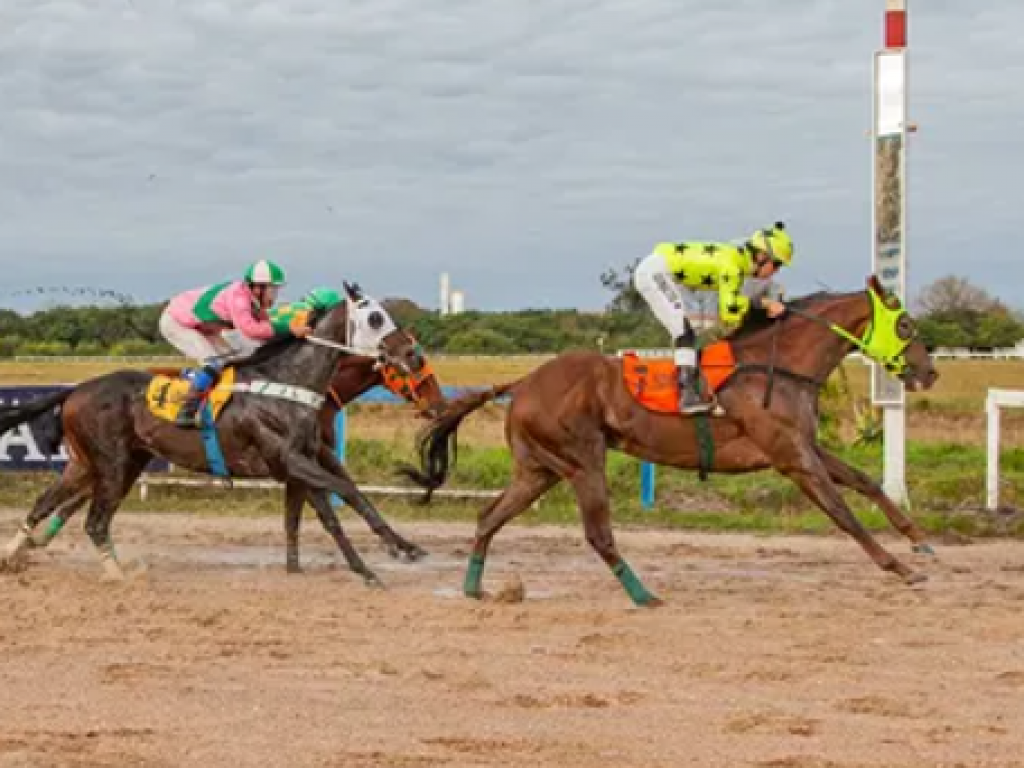 Foto: Old Fashioned conquista o GP Jockey Club de Pelotas