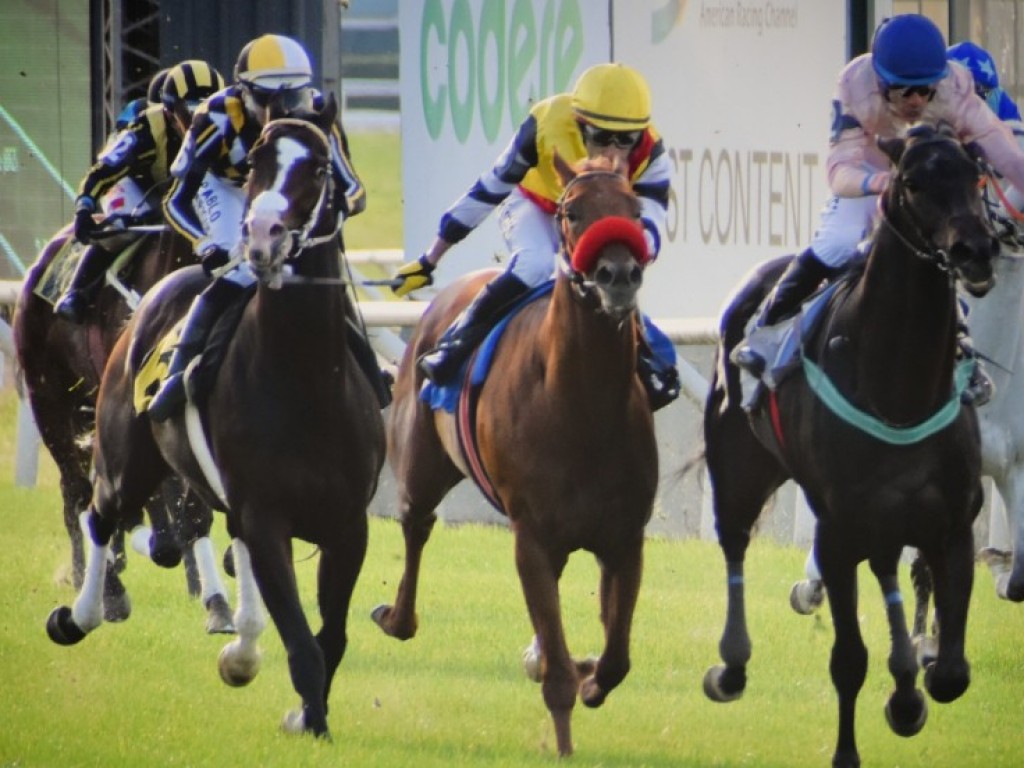 Foto: Maroñas: no "sino", Master of Puppets fatura G3 e vai ao GP Latinoamericano
